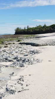 Vertical Video Of Low Tide In The Ocean Near The Coast Of Zanzibar