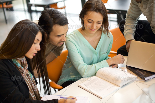 classification essay about college students classification essay about college students