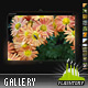 Amphasia Resizable Vertical Gallery w Scroller Amphasia Resizable Vertical Gallery w Scroller