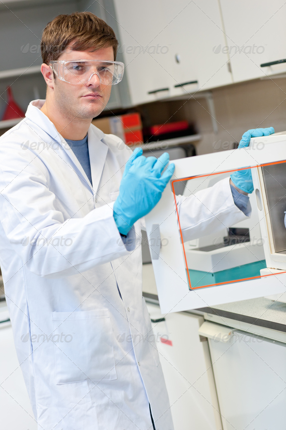 an experiment determining the role of pheromones in psammotermes hybostoma an experiment determining the role of pheromones in psammotermes hybostoma
