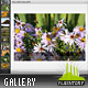 Kelssar Resizable Gallery Kelssar Resizable Gallery