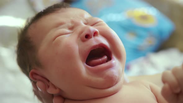 A Mother Holds a Newborn Screaming Child in Her Arms. Crying Newborn Baby in the Arms of a Loving alt