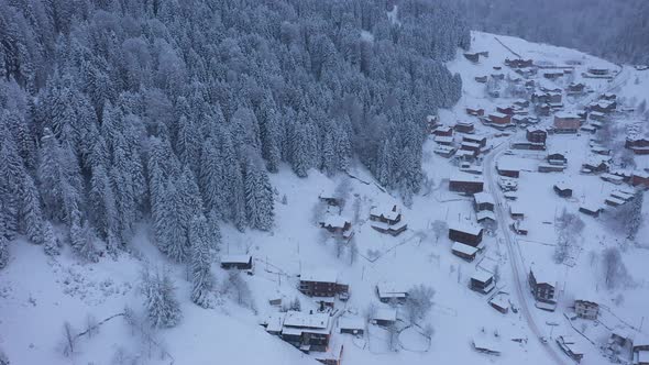 Ayder highland