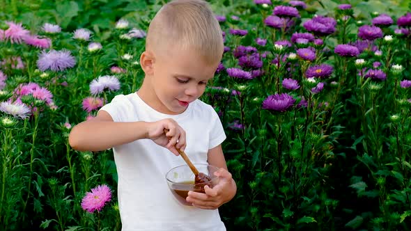 The Child Eats Honey in the Summer alt