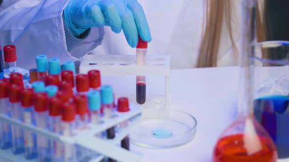 Lab Assistant in Gloves Putting Blood Test Tubes in Rack or Holder Close Up alt