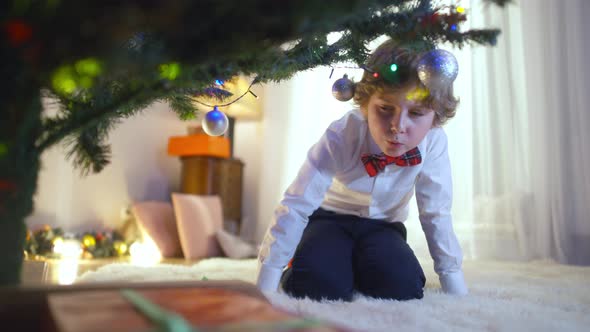 Portrait of Excited Boy Looking Under Christmas Tree Taking Gift Box alt