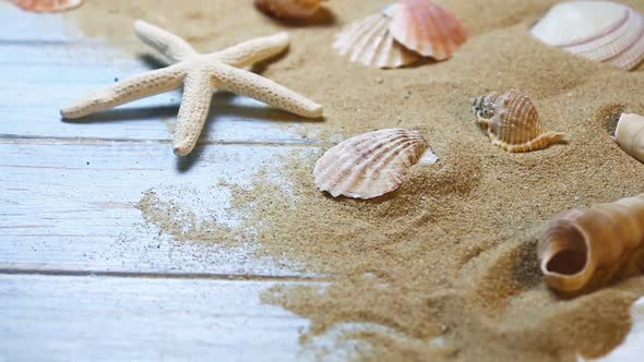 Sea Shells and Starfish on a Blue Wooden Background and Sand