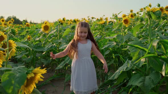 Girl spin looking at camera on sunflowers field. Young cheerful school female at nature