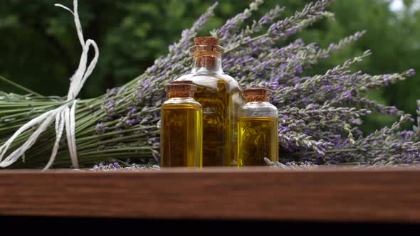 Lavender and Lavender Oil 04 alt