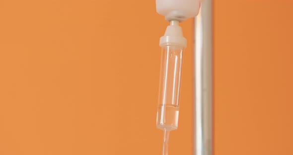 Closeup Intravenous Drip Applicator in Vet Clinic Partly Filled with Liquid Medicine Drops Inside alt