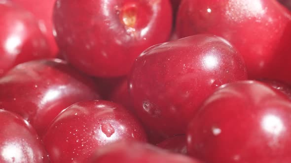 Macro Video of a Juicy and Sweet Cherry alt