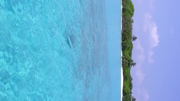 Coconut Palm Trees on Caribbean Island alt