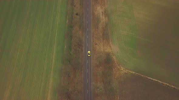 Yellow Convertible Rides on the Road Between Fields and Trees in Autumn. Bird's Eye. Video Shooting
