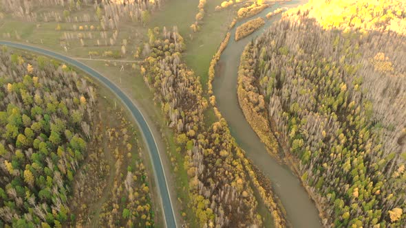 Aerial View From Drone Over a Curve River, Fall Bald Forest and Asphalt Road