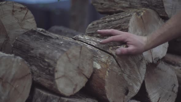 Man's Hand Feels the Wood Structure of Oak Firewood Blocks Stored for Winter in a Stack. alt