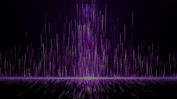 Purple Digital Lines Move Up 01335