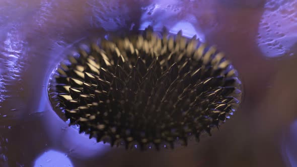 Ferrofluid. Beautiful Colors and Fantastic Shapes. Close-up