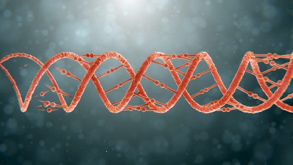 DNA Growth 02 Shot 04 alt