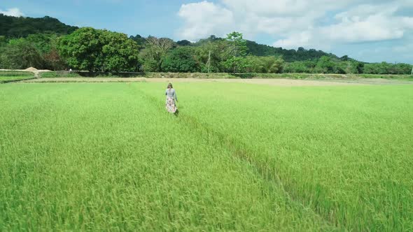 Aerial Drone Footage of Blond Girl in Dress Walking Along the Rice Fields in El Nido Philippines alt