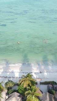 Tanzania  Vertical Video of the Ocean Near the Coast of Zanzibar Slow Motion alt
