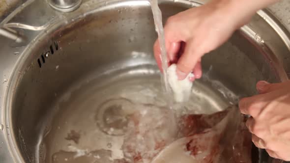 Men's Hands Clean the Clog in the Sink From Seafood. Squid Skin. Hands Wash and Clean Squid Under