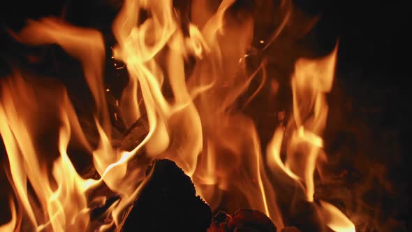 Motion Wallpaper Burning Fire Night Close Up Slow Motion alt