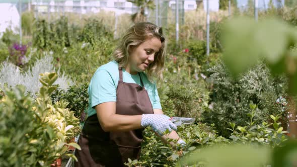 Happy Greenhouse Professional Gardener Cutting Houseplants alt