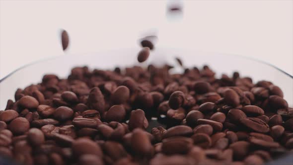 Coffee beans and cup in the making of a cup of coffee 9