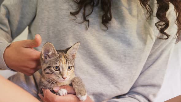 Young woman sitting on bed stroking her tabby cat in the bedroom 4K 4k alt
