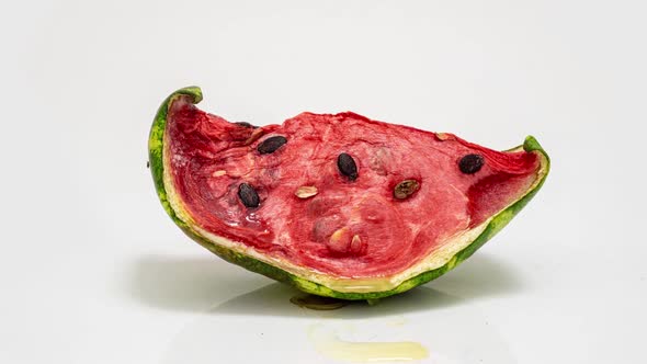 Piece of Ripe Watermelon Rots on White Background Time Lapse Educational Cognitive Video alt