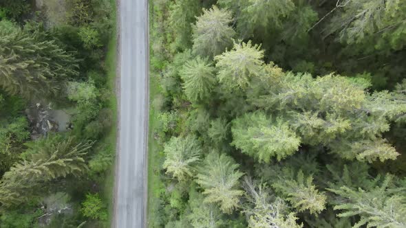 The Road in the Mountains. Slow Motion. Carpathians. Ukraine. Aerial. Gray, Flat alt