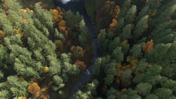Aerial view looking down toward river going up stream to waterfall alt