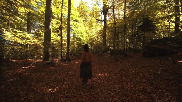 Pretty Girl Walks on the Dried Foliage in Scenic Autumn Forest Covered with Fallen Leaves and Golden