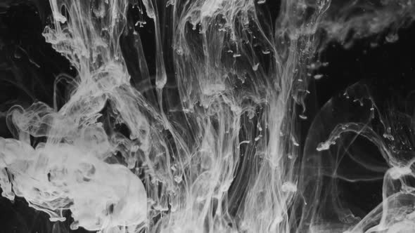 Abstract Ink Flowing in Water