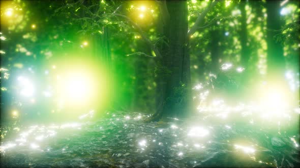 Firefly Flying in the Forest alt