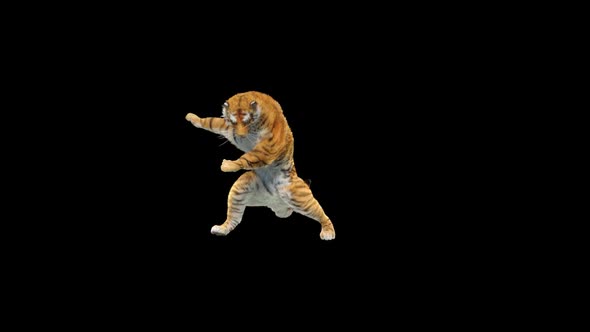 Tiger Dancing HD alt