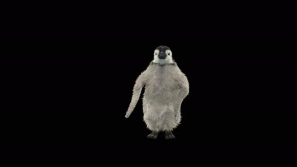 Penguin Dancing 4K alt