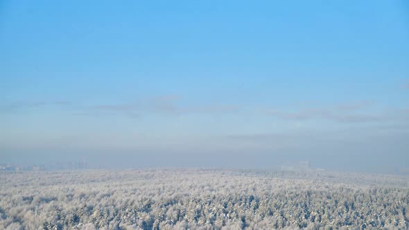 Clouds on a blue sky over a winter forest with snow trees, time lapse alt