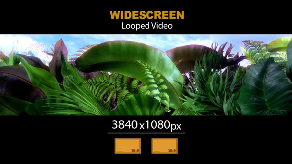 Widescreen Tropical Leaves 01