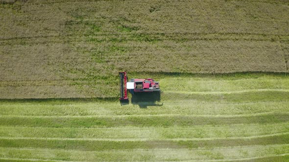 Aerial View Of Harvester Harvests Wheat In The Field