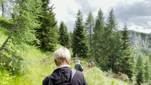Back View of Family During a Mountain Trip Along Italian Alps Summer Season alt