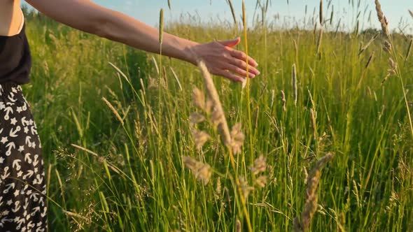 The girl walks through the meadow in thick high grass