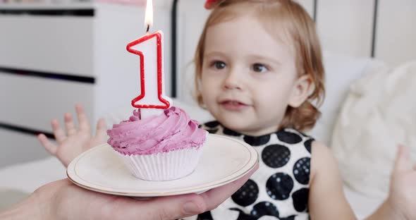 A Birthday Party for a Happy Cute 1 Year Old Girl and Blowing Candles on a Cake alt