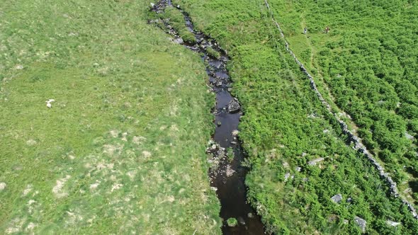 Forward tracking aerial along a creek or river beside wistmans wood in the heart of Dartmoor, Devon, alt