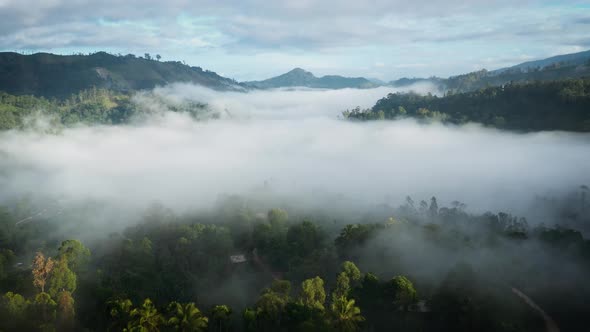 Aerial View Of Foggy Mountain Valley In Sri Lanka