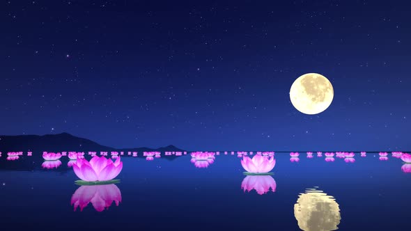 Lotus moonlight