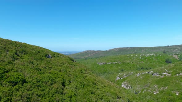 Fly Above Green Mountains alt