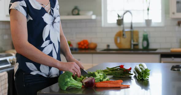 Woman chopping vegetable in kitchen at home  alt
