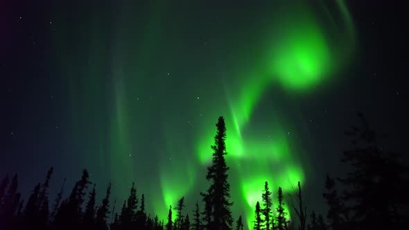 Aurora Borealis Lights Northern Alberta, Resembling To Alaska Lights alt