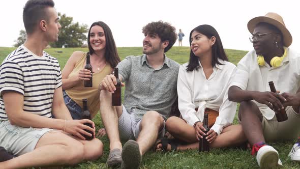 Group of Young Friends Sitting on the Grass Having Good Times Drinking Beer in Summer alt